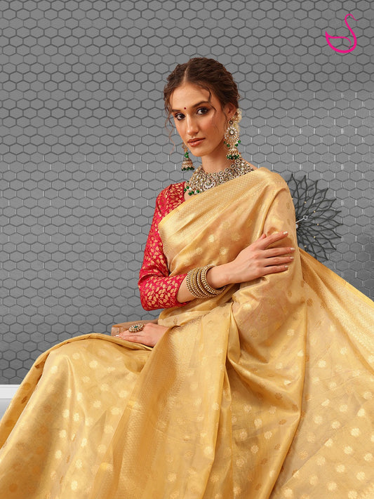 Vianika – The Golden Bloom Elegance