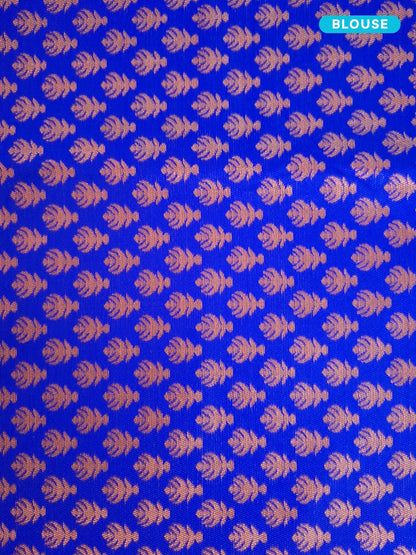 Vyomika - The Regal Blue Elegance