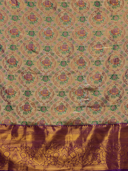Rajvika – The Golden Bloomed Majesty