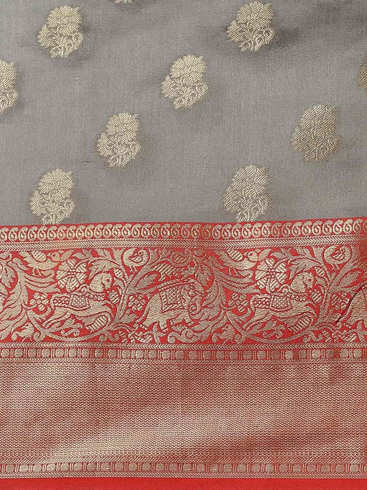Bhanvika - The Regal Grey Symphony