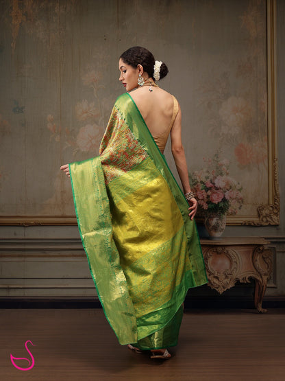 Haritara – The Radiant Heritage Weave